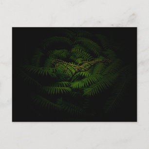 Schöne Fern Bud Kunstfotografie Postkarte