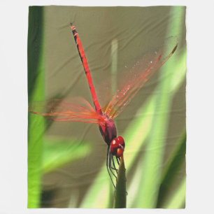 Schöne Firecracker Dragonfly Akryllische Malerei Fleecedecke
