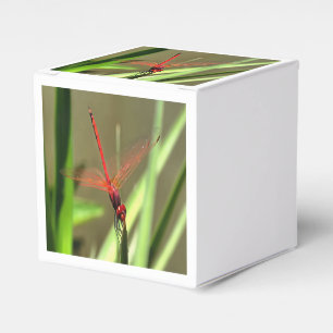 Schöne Firecracker Dragonfly Akryllische Malerei Geschenkschachtel