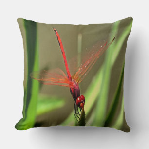 Schöne Firecracker Dragonfly Akryllische Malerei Kissen