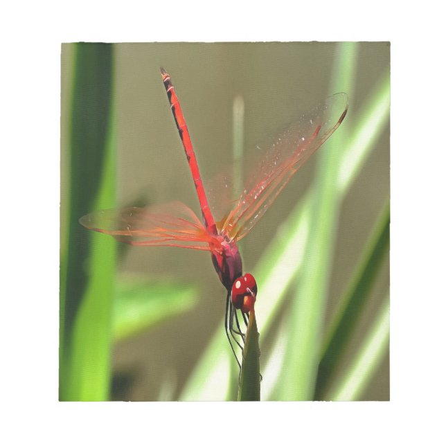 Schöne Firecracker Dragonfly Akryllische Malerei Notizblock (Vorderseite)