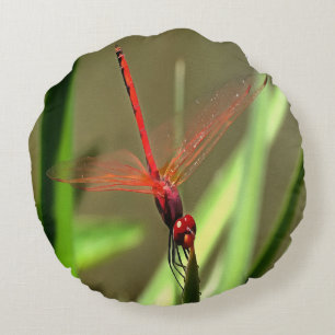 Schöne Firecracker Dragonfly Akryllische Malerei Rundes Kissen