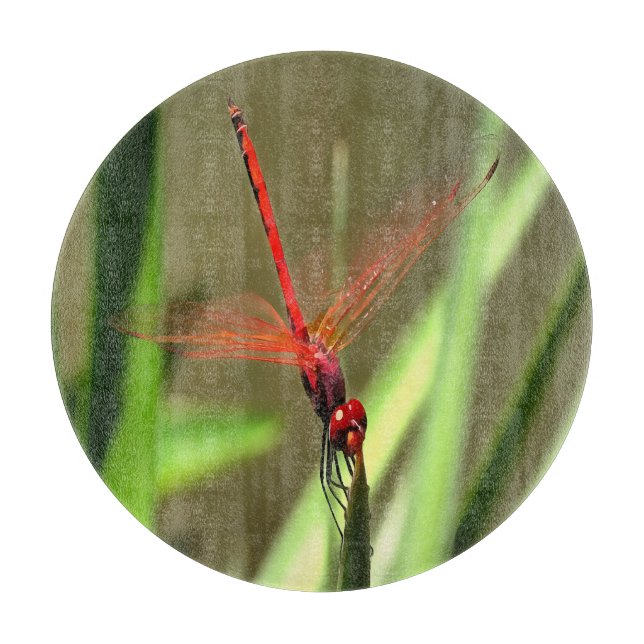 Schöne Firecracker Dragonfly Akryllische Malerei Schneidebrett (Vorderseite)