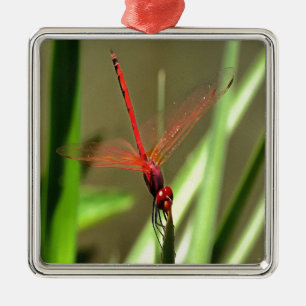 Schöne Firecracker Dragonfly Akryllische Malerei Silbernes Ornament