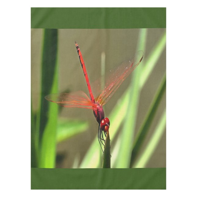 Schöne Firecracker Dragonfly Akryllische Malerei Tischdecke (Vorderseite)
