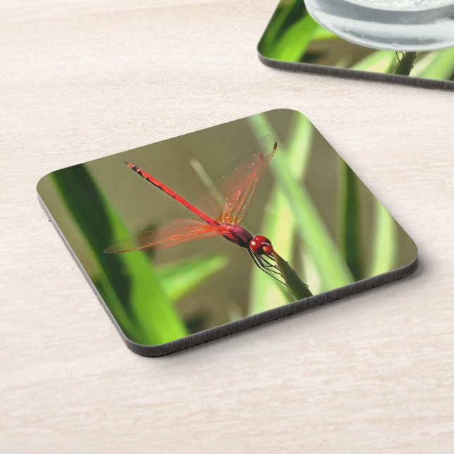 Schöne Firecracker Dragonfly Akryllische Malerei Untersetzer (Linke Seite)