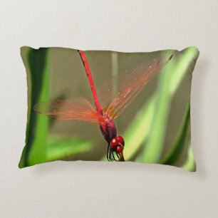 Schöne Firecracker Dragonfly Akryllische Malerei Zierkissen