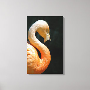 Schöne Flamingo Wrapped Canvas! Leinwanddruck