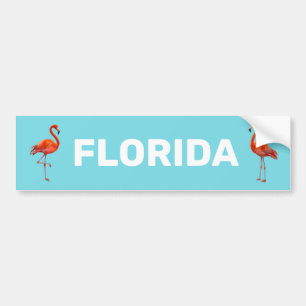 Schöne Florida-Flamingos auf Hellblau Autoaufkleber