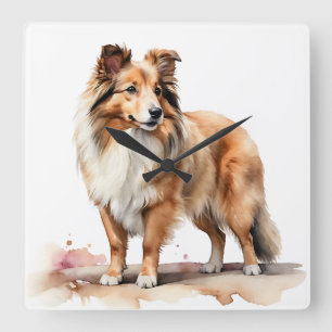SCHÖNE FLÜFFE-SHETLAND-SHEEPDOG-HUND QUADRATISCHE WANDUHR