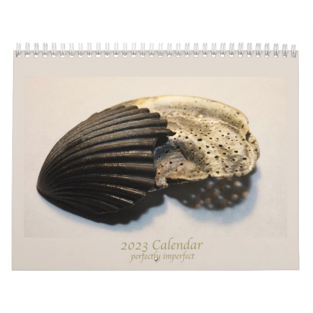 Schöne Foto gebrochener Muscheln Kalender (Titelbild)