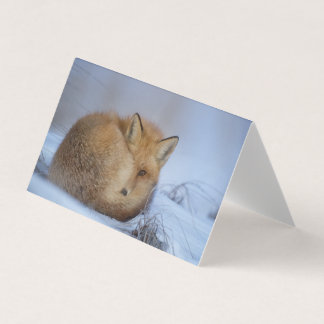 Schöne Fox Blank Card