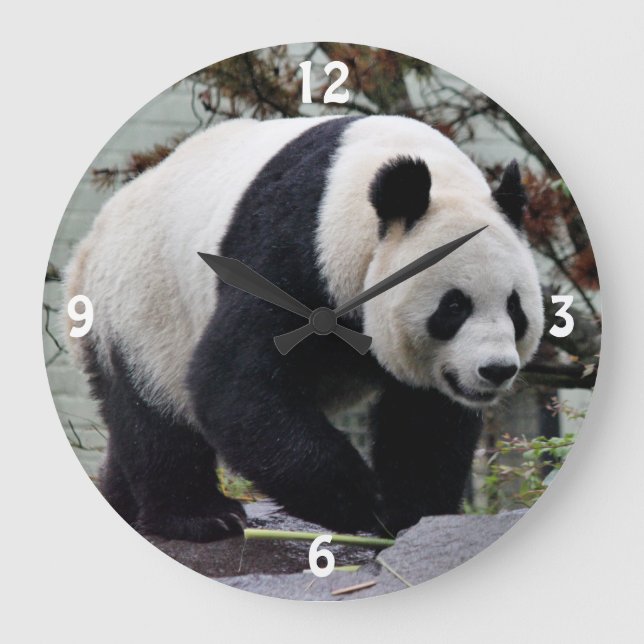 Schöne Frau Riese Panda Große Wanduhr (Vorderseite)