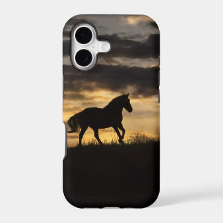 Schöne Free Horse Sunset Silhouette