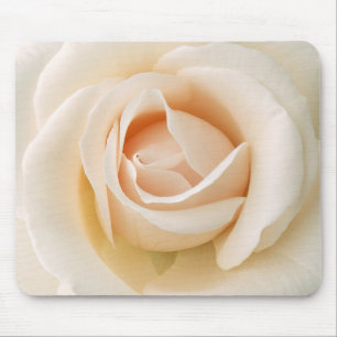 Schöne frische Rose Mousepad