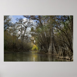 Schöne Frühjahrspur Poster