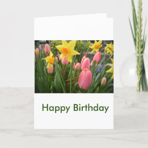 schöne Frühlings rosa Tulpen Blumen Geburtstag Karte