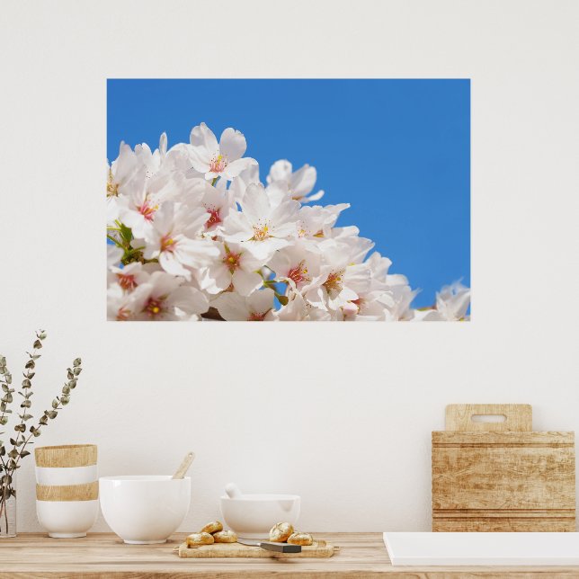 Schöne Frühlingsblumen Poster (Küche)
