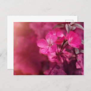 Schöne Frühlingsblumen Postkarte