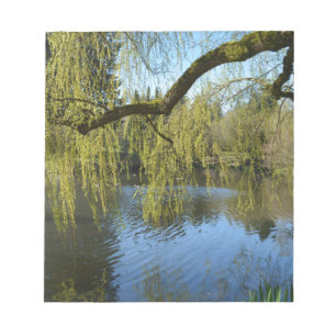 schöne Frühlingsweiden am Wasserteich. Notizblock