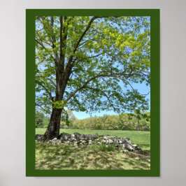 Schöne Frühlingszeitung Poster