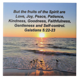 SCHÖNE GALATIANER 5 SONNENREISE FLIESE