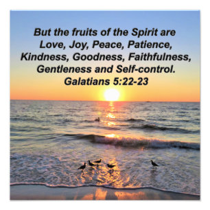 SCHÖNE GALATIANER 5 SONNENREISE FOTODRUCK