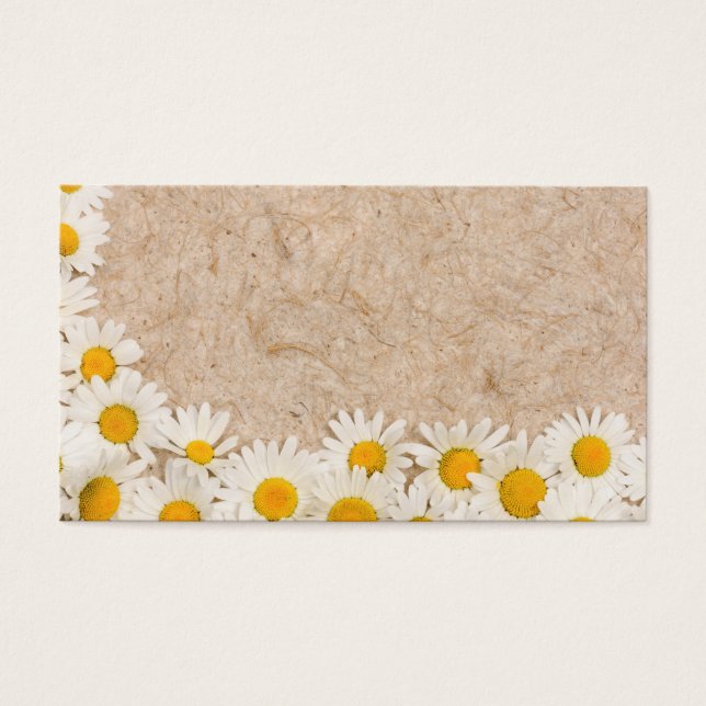 Schöne Gänse (Vorderseite)