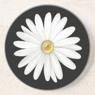 Schöne Gänseblümchen-Blume auf Schwarz Getränkeuntersetzer