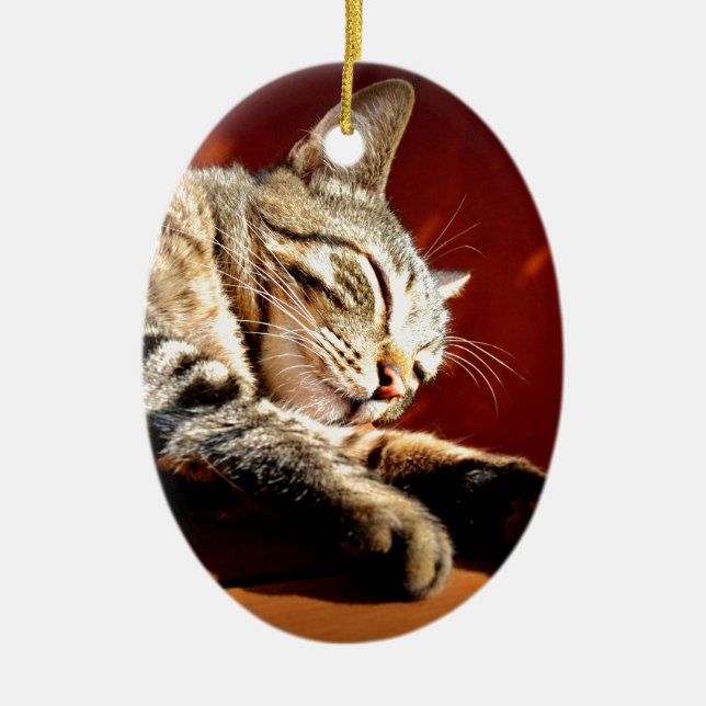 Schöne gefleckte Katze Keramikornament (Vorne)