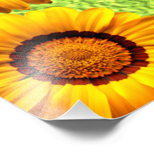 Schöne gelbe Blumen auf abstraktem Grün Fotodruck
