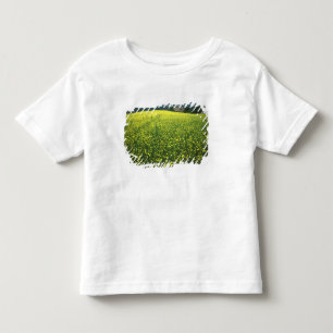 Schöne gelbe Blumen bedeckten Felder von San Kleinkind T-shirt