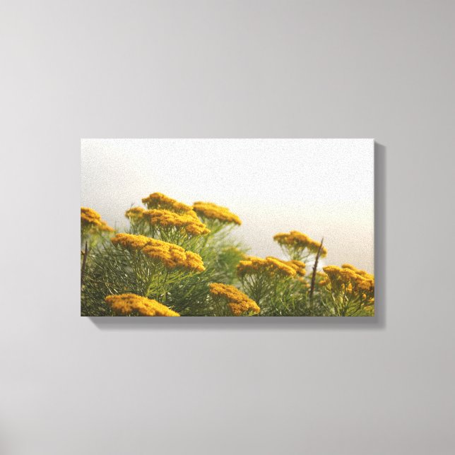 Schöne gelbe Blumen Stretched Canvas Print Leinwanddruck (Vorderseite)