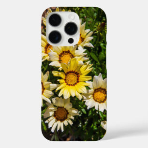 Schöne, gelbe Gazania-Blume im Garten iPhone 16 Pro Hülle