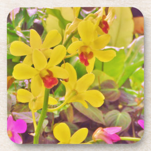 Schöne gelbe Herbstorchideen Untersetzer