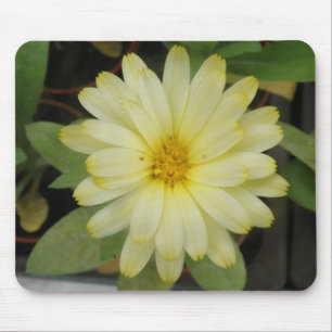 Schöne Gelbe Marigold Mousepad