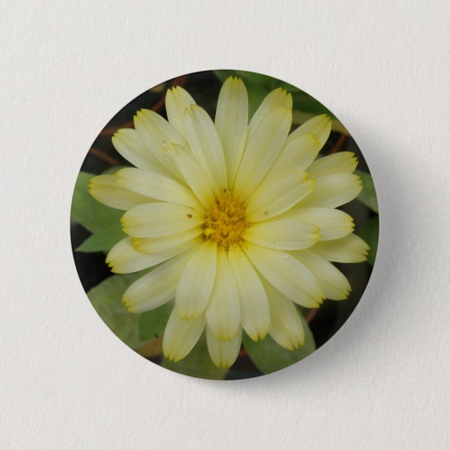 Schöne Gelbe Marigold-Taste Button (Vorderseite)