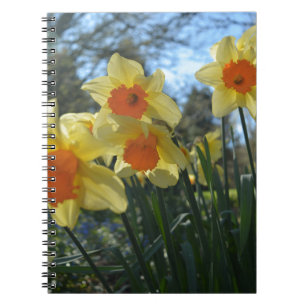Schöne, gelbe, orangefarbene Blume Notizblock