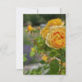 Schöne Gelbe Rose Mitteilungskarte
