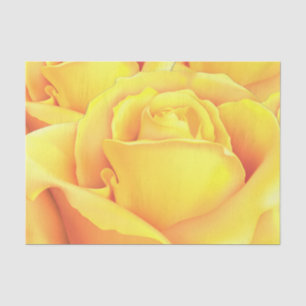 Schöne Gelbe Rose Seidenpapier