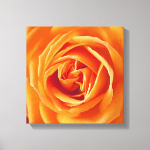 Schöne gelbe Rosenblume floral Leinwanddruck
