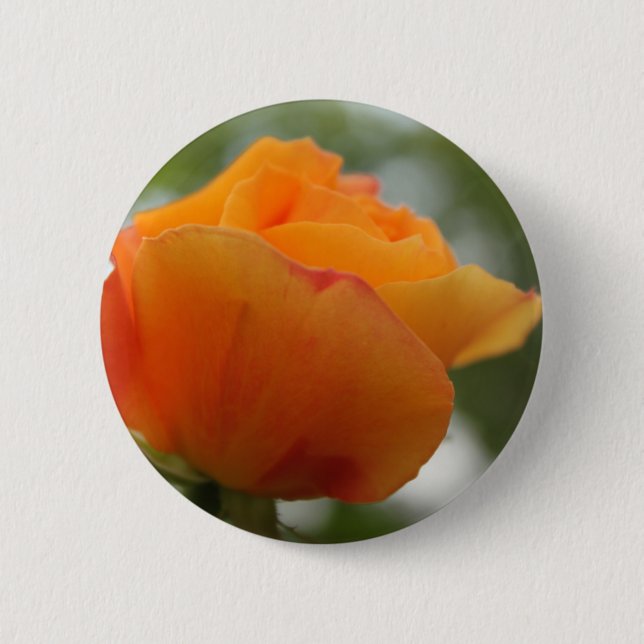 Schöne gelbe Rosenblütenfotografie. Button (Vorderseite)