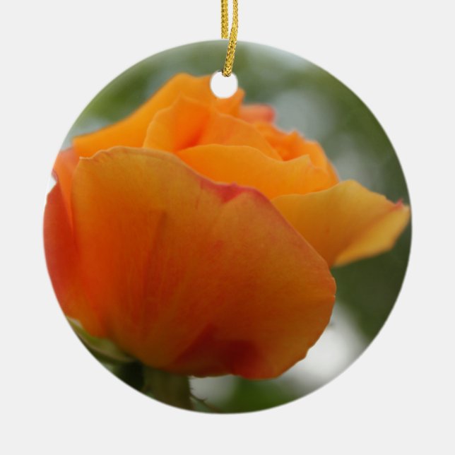 Schöne gelbe Rosenblütenfotografie. Keramikornament (Vorne)