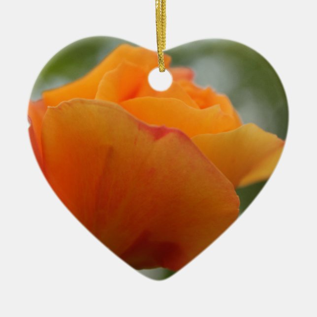 Schöne gelbe Rosenblütenfotografie. Keramikornament (Vorne)