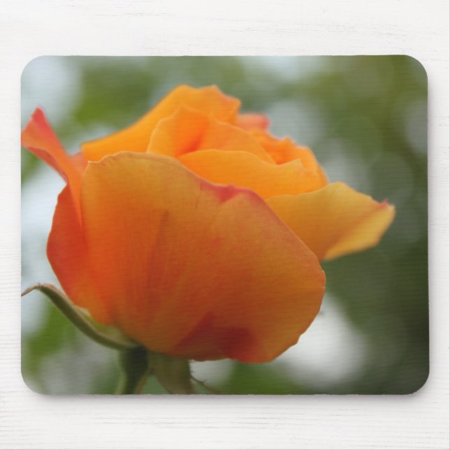 Schöne gelbe Rosenblütenfotografie. Mousepad (Vorne)