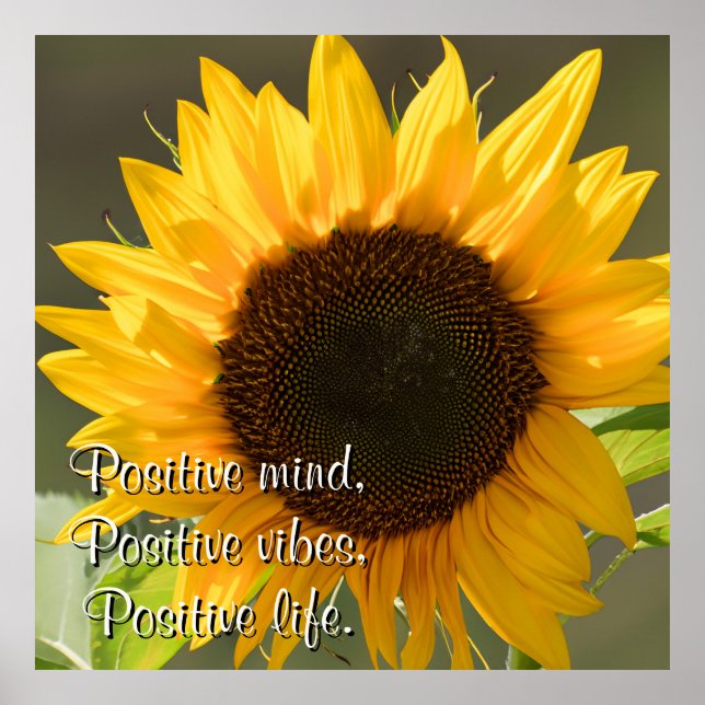 Schöne gelbe Sonnenblume unter dem Sonnenbild Poster (Vorne)