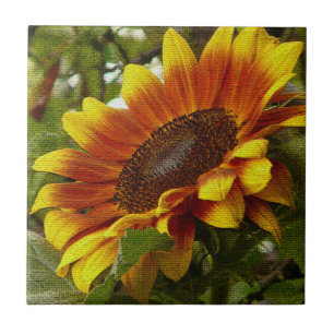 Schöne gelbe und orange Sonnenblumen-Keramikfliese Fliese