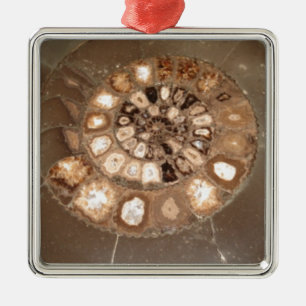 Schöne, geteilte Dactylioceras-Mammnitel Fossil Ornament Aus Metall