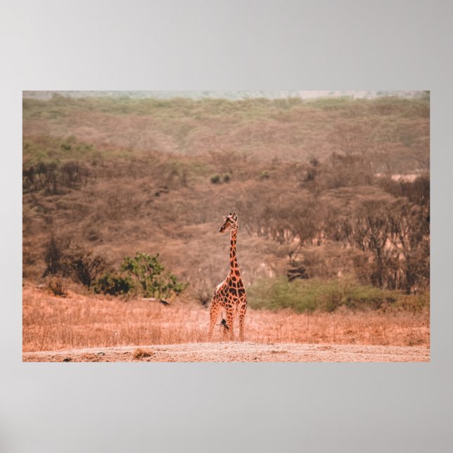 SCHÖNE GIRAFFE POSTER (Vorne)