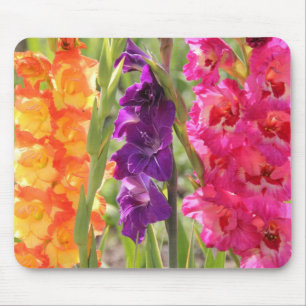 Schöne Gladiolus-Blüte Mousepad